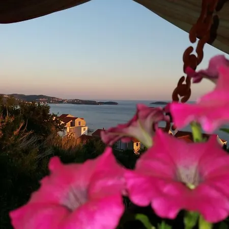 Appartamento Hana Mlini